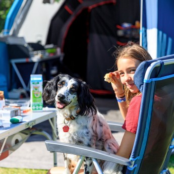 Honden toegestaan Tempelhof 1.jpg