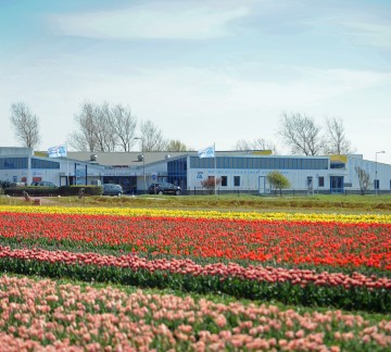 bloembollen velden Camping Tempelhof