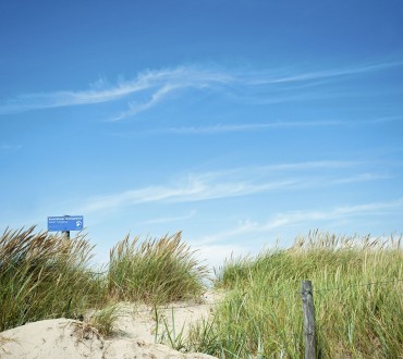 Duinen vlakbij Camping Tempelhof jpg