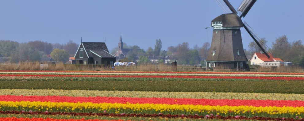 Header tarieven.jpg