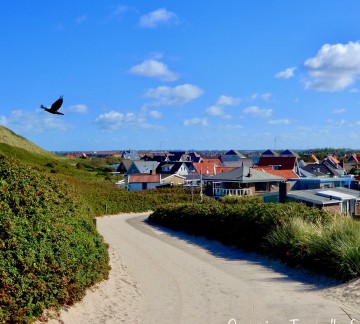 Omgeving Camping Tempelhof