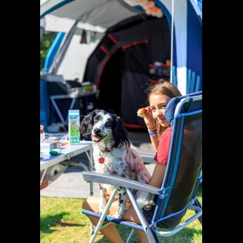 Honden toegestaan Tempelhof 1.jpg