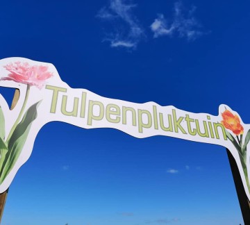 Pluktuin.jpg