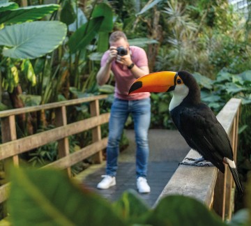 (8)-Pantropica---Fotograaf.jpg