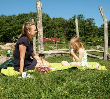 Picknicken.jpg